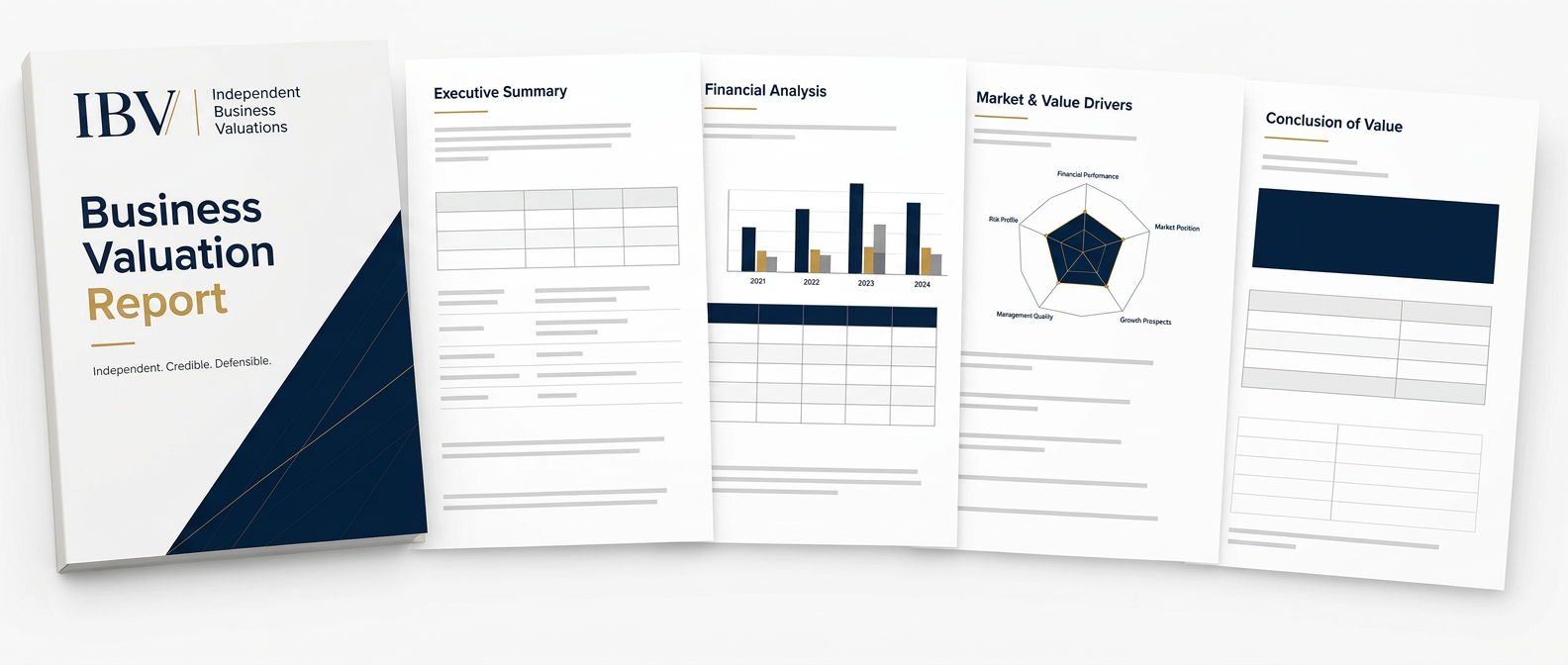 Illustrative IBV™ report spread showing executive summary, financial analysis, value drivers and conclusion sections